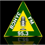 BOHYE 95.3 FM logo