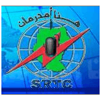 FM100 Sudanese House Radio logo