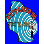 WAPO RADIO FM 98.1 logo