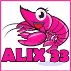 Alix 33 Radio logo