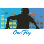 One Fly logo