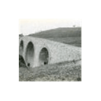 Radio Revive la Trini Nova logo