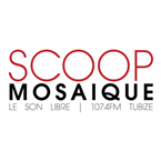 Scoop Mosaique logo