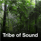 A Tribe of Sound logo