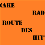 La route des hit's logo