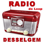 Radio Desselgem logo