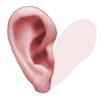 De Buis van Eustachius logo