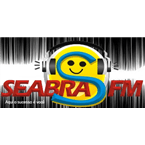 Rádio Seabra FM logo