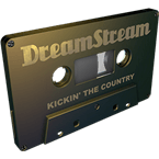 DreamStream 50plus logo