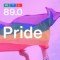 89.0 RTL Pride logo