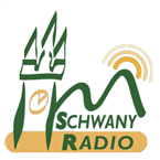 Schwany 6 Oldie logo