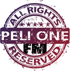 PELI ONE logo