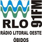 91 FM Radio logo