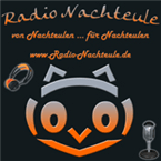 Radio Nachteule logo