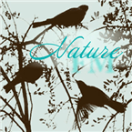 Shurf Nature logo