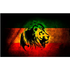 Rádio Positividade logo