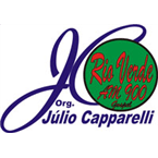 Rádio Rio Verde AM logo