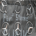 Fünf Sterne logo