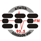 Efe FM logo