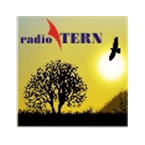 Radio Tern logo