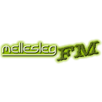 Mellesleg Radio Gayness logo