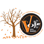 VoiceWebRadio logo