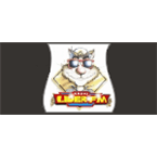 Radio Lider FM logo