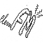 Plem FM logo