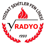 YSFL Radyo logo