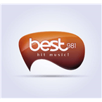 Best 981 logo