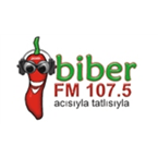 Biber FM logo