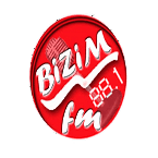 Bizim FM logo