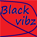 Black Vibz logo