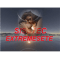 EXTREMESETE logo