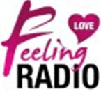 Feeling Love logo