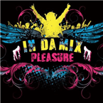 In-Da-Mix-Pleasure logo