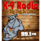 99.1 KNYN THE BIG DOG logo