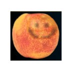 Nectarine Demoscene Radio logo