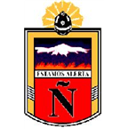 Ñuñoa Fire Department logo