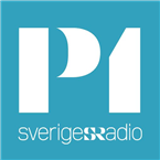P1 logo