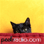 Peek Radio logo