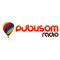 PubliSom Radio logo