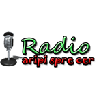 Radio Aripi Spre Cer Worship logo