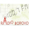 Radio Borovo logo