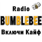 Radio BumbleBee logo