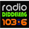 Radio Diddeleng logo