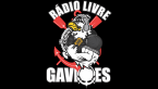 Rádio Livre Gaviões logo