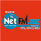 Radio NetFM logo