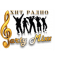 Radio PARTY MIXX logo