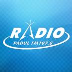 Radio Padul logo